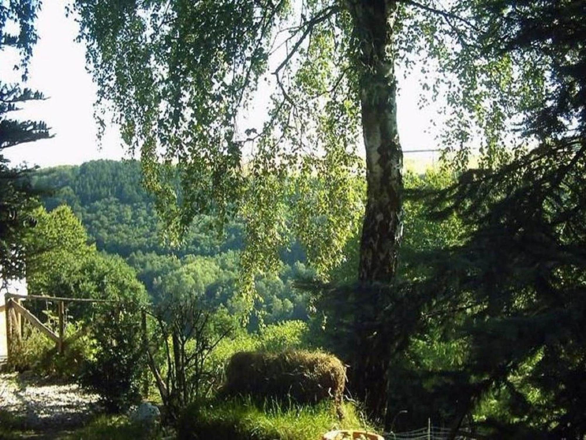 Charming Apartment In Morbach Germany With Terrace Thalfang Екстериор снимка