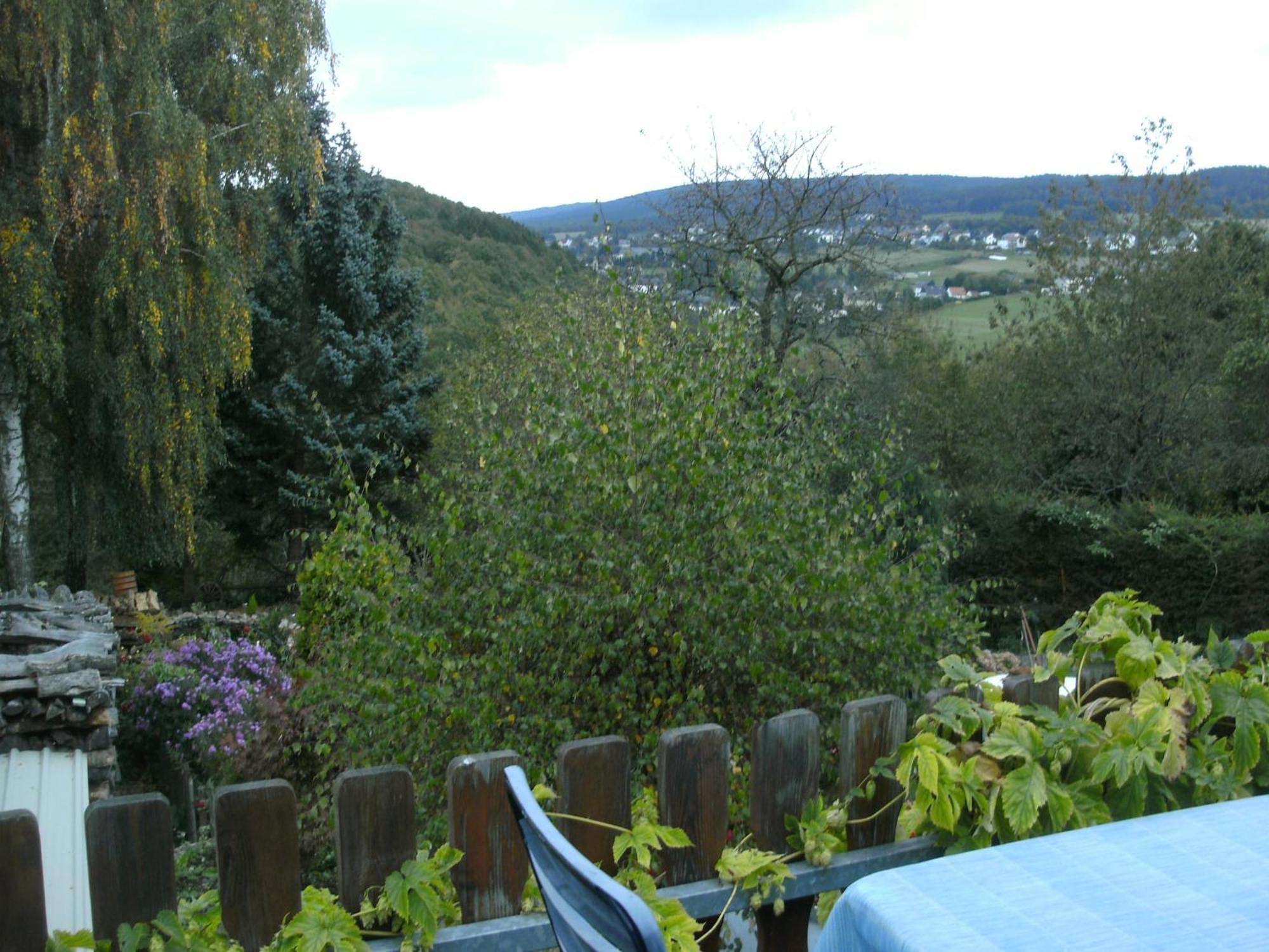 Charming Apartment In Morbach Germany With Terrace Thalfang Екстериор снимка